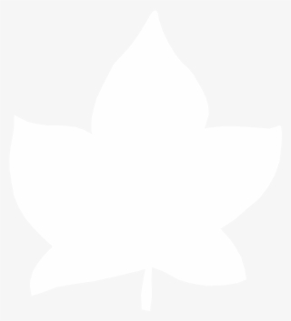 Blade Palmate - Maple Leaf