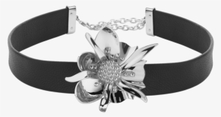Belt Buckle