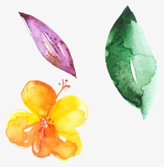 Hand Painted Flowers Green Leaves Beautiful Png - Portable Network Graphics