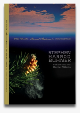 Pine Pollen Book 625×794 Pixels - Pine Pollen: Ancient Medicine For A New Millennium
