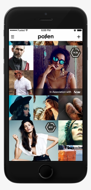 Pollen App Developer - Nickelson Wooster
