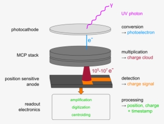 Development Of Uv Mcp Detectors For Future Space Missions - Diagram