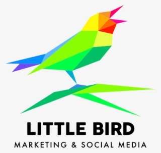 Little Bird Affordable Websites For Small Businesses - Dolori Del Giovane Walter