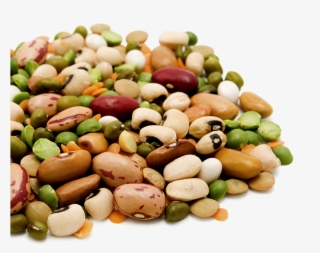 From Research, The Principles Of Healthy Eating - Meat Pulses And Beans