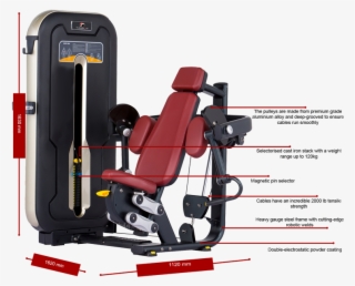 Titanium Usa Manhattan Bicep Curl Mt006 With Computerised - Titanium Usa Bicep Curl Mt006