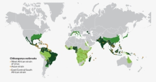 Chikungunya Map