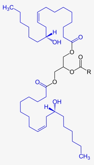 Open - Diagram