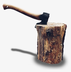 Experience - Tree Stump