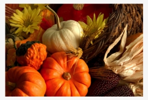 Wednesdays At Knox Celebrates Thanksgiving With A Special - Fall Thanksgiving Banner Give Thanks 3x5