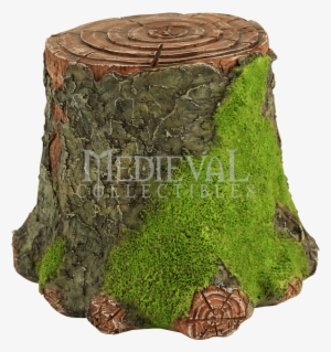 Dunecraft Pincushion Cactus (tiny Terrariums)