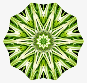 This Free Icons Png Design Of Rosemary Kaleidoscope