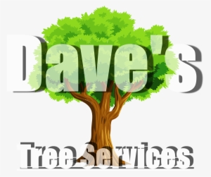 Dave's Tree Services - Sandy Springs