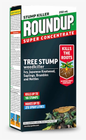 Roundup Tree Stump & Root Killer Is A Concentrate Glyphosate - Weed Killer Japanese Knotweed