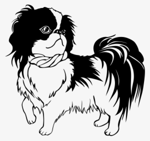 Open - Shih Tzu Line Art