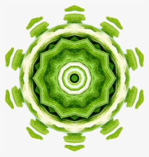 Computer Icons Herb Rosemary Kaleidoscope - Clip Art