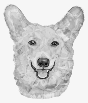 Dog,german Dog,white Dogs,black And White,poly,triangle - Corgi Drawing Transparent Background