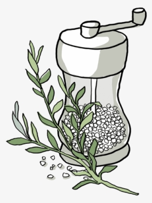 Ingredient Rosemary - Line Art