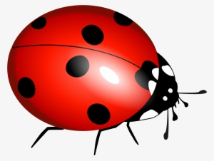 Hippie Clipart Unconditional Love - Lady Bug Clipart