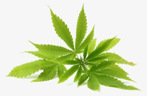 Weed.png