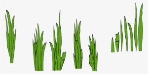 Weed Clipart Sea Grass - Grass Clip Art