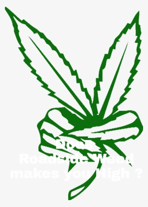 Download Classy Design Ideas Marijuana Clipart Peace 2 - Marijuana ...