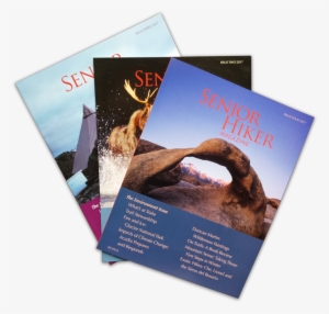 Buy Or Renew Subscription - Flyer