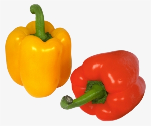 Pepper Duo - Bell Pepper Transparent Background