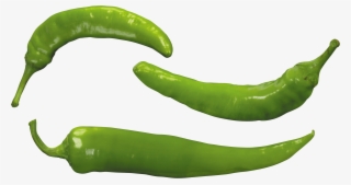 Free Png Green Pepper Png Images Transparent - Green Pepper Png