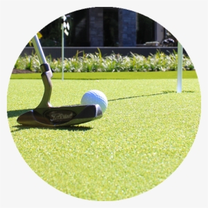 Lawn