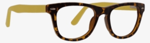 Reader In Matte Tortoise & Yellow - Persol Po3007v 1013 Green Women/men Eyeglasses