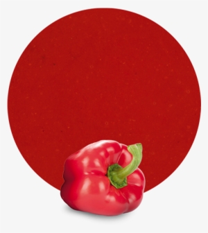 Red Pepper Gives Personality To Meals By Being The - Red Bell Pepper