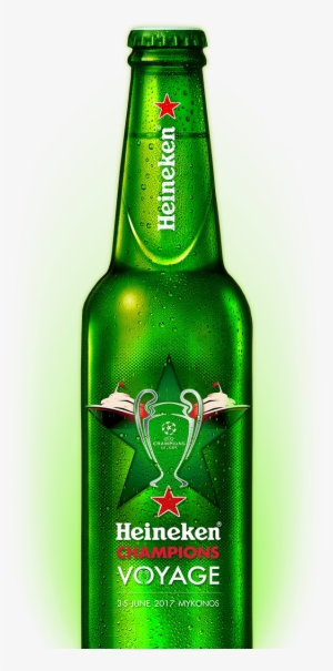 Heineken Bottle - Beer Bottle