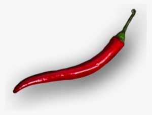 Pepper - Bird's Eye Chili