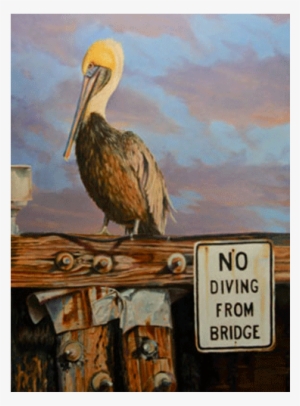 A Pelican Can By Mickey Asche - Pelican