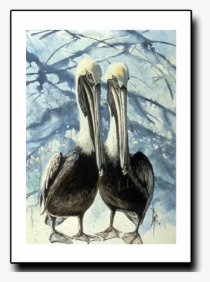 This Puddle's Mine - Booby