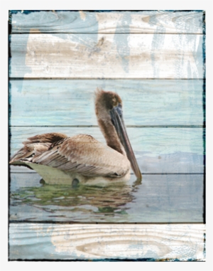 Tulum Pelican Canvas - Brown Pelican
