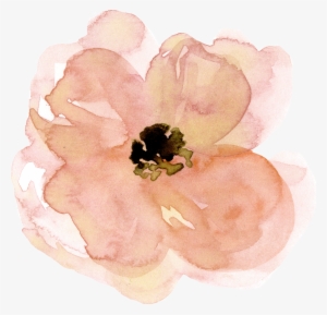 Coffee Book Tag Ft - Corn Poppy