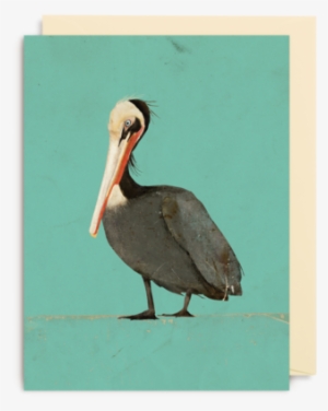 Pelican Mini Card - Wenskaart Carrie May