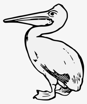 Details, Png - Bird