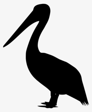 Download Png - Bird