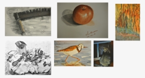 Above Is An Abstract Collage Called Boston Harbor - Ruddy Turnstone