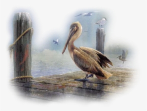 Pelican On Dock - Watercolor Painting
