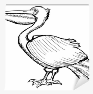 Pelican Clip Ary