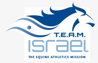 Logo Home Page Big - Stallion
