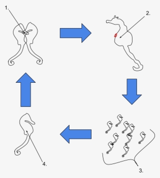 Open - Punk Guitar Chords