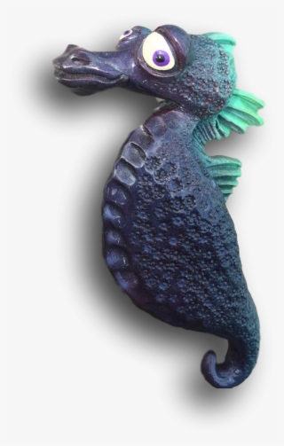 Blue King Dingcauser Seahorse - Northern Seahorse