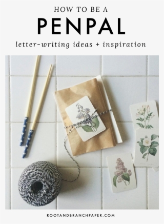 How To Be A Pen Pal - Pierre-joseph Redoute Camelias Yard Sign