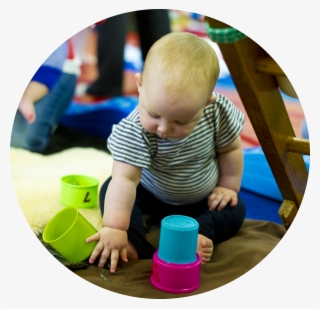 Crawling Echidnas - Play