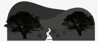 Land Properties - Real Estate