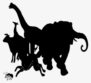 Vector Skeleton Stegosaurus - Ant Clip Art